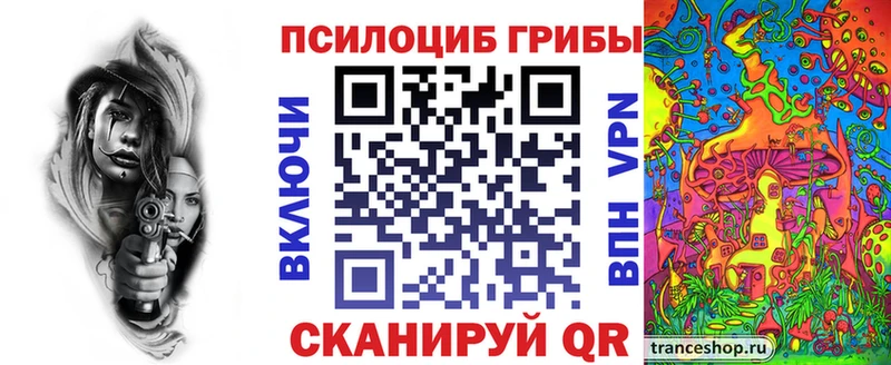 магазин  наркотиков  Нязепетровск  Псилоцибиновые грибы GOLDEN TEACHER 